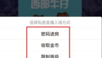 私密账号直播,幕后故事与真实面貌