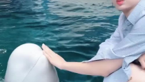 鲸鱼小姐姐韩剧,探寻海洋深处的奇幻之旅