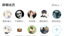 小姐姐光临,一场别开生面的邂逅之旅